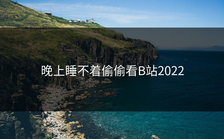 晚上睡不着偷偷看B站2022