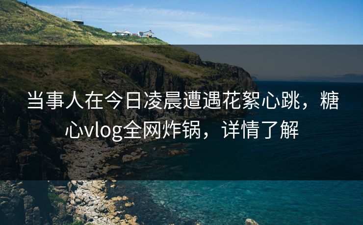 当事人在今日凌晨遭遇花絮心跳，糖心vlog全网炸锅，详情了解