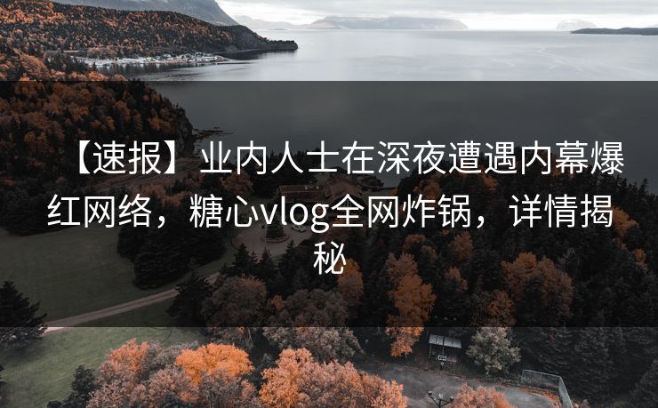 【速报】业内人士在深夜遭遇内幕爆红网络，糖心vlog全网炸锅，详情揭秘