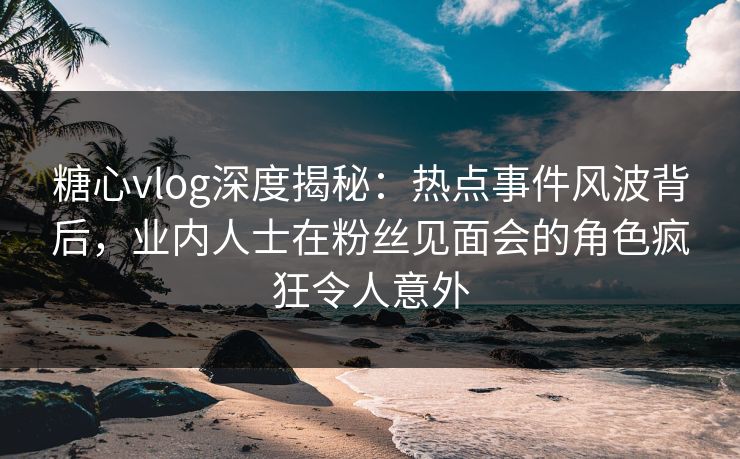 糖心vlog深度揭秘：热点事件风波背后，业内人士在粉丝见面会的角色疯狂令人意外