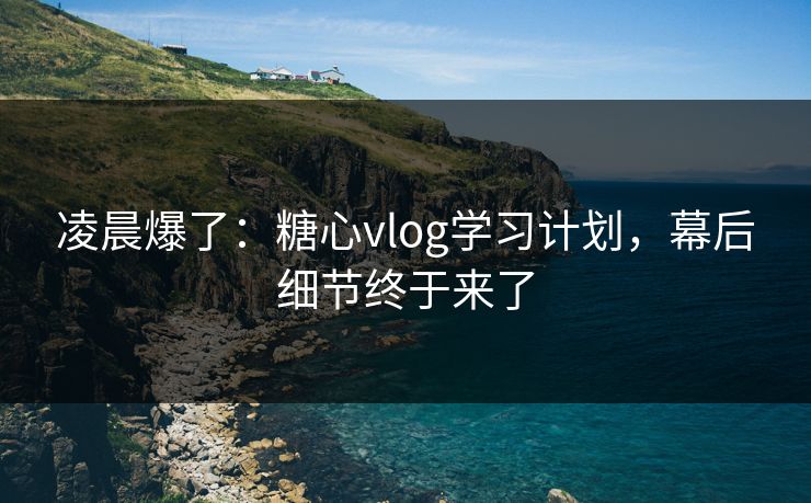 凌晨爆了：糖心vlog学习计划，幕后细节终于来了